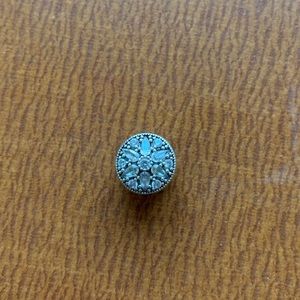 Pandora Bracelet Charm